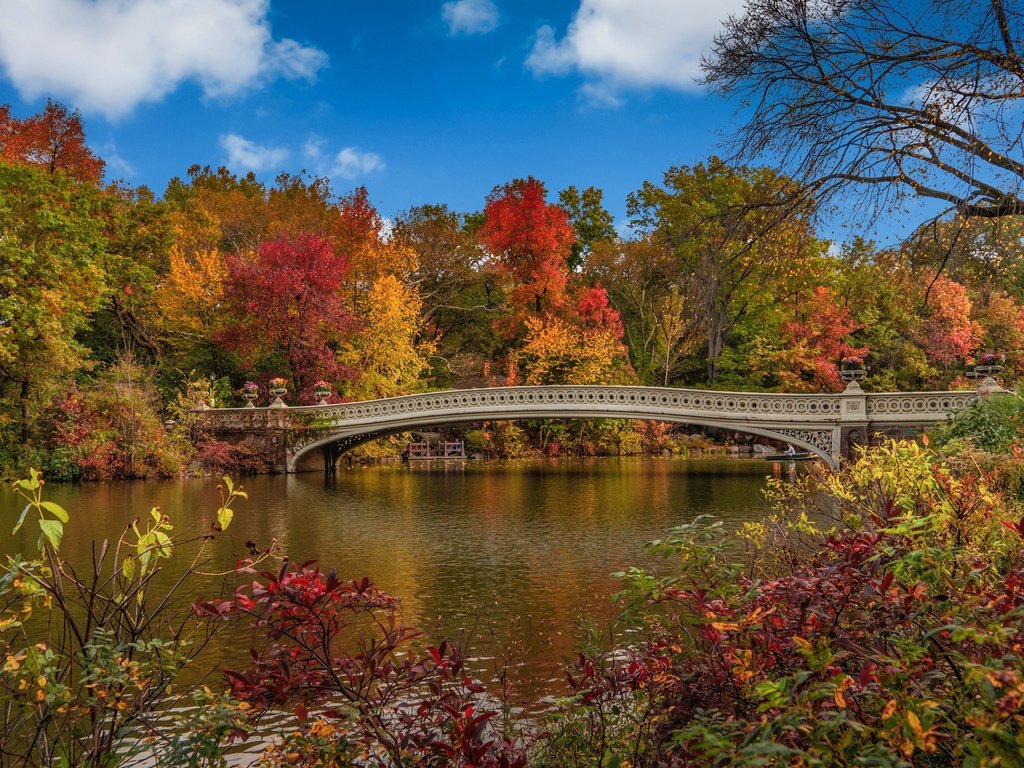 Обои деревья, мост, осень, сша, нью-йорк, центральный парк, trees, bridge, autumn, usa, new york, central park разрешение 3840x2400 Загрузить