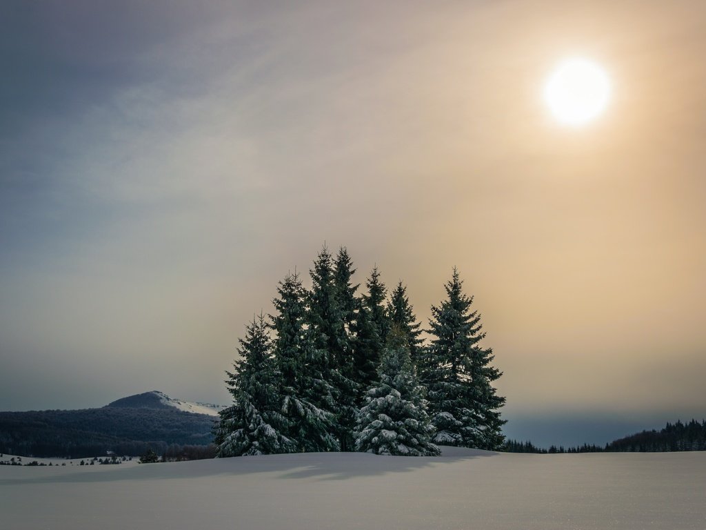 Обои небо, горы, солнце, снег, лес, зима, ели, the sky, mountains, the sun, snow, forest, winter, ate разрешение 6000x4000 Загрузить