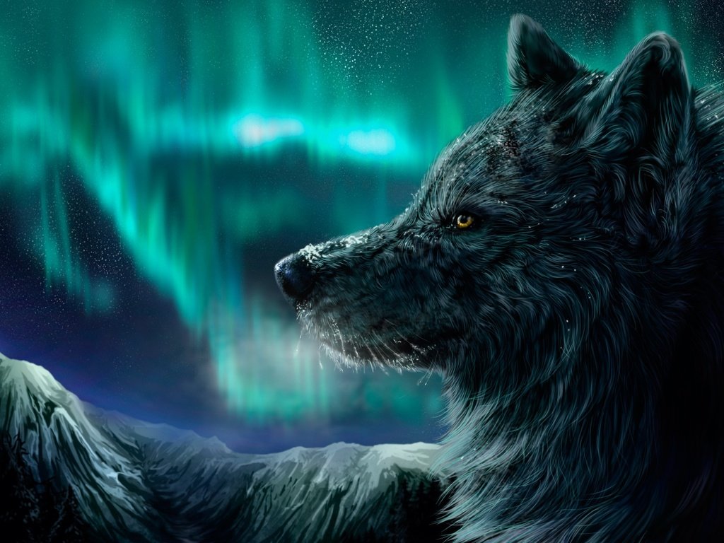 Обои ночь, зима, северное сияние, волк, night, winter, northern lights, wolf разрешение 2560x1600 Загрузить