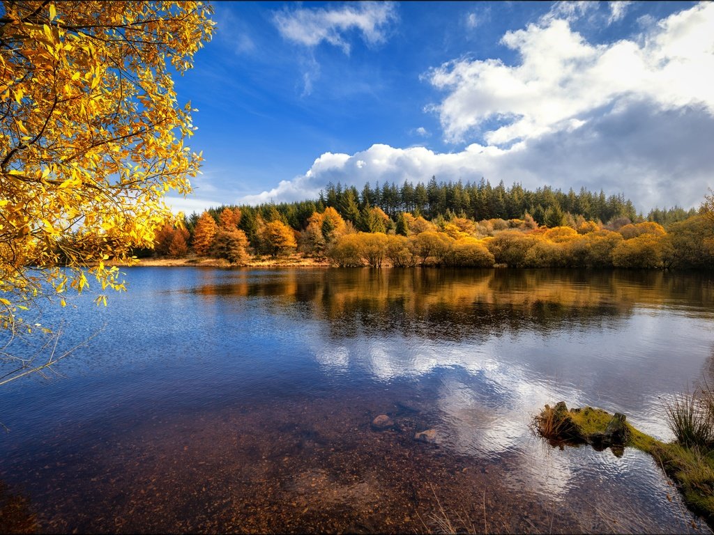 Обои облака, дно, берег, водоем, лес, синева, отражение, краски осени, ветки, золотая осень, вид, листва, осень, clouds, the bottom, shore, pond, forest, blue, reflection, the colors of autumn, branches, golden autumn, view, foliage, autumn разрешение 6016x4016 Загрузить