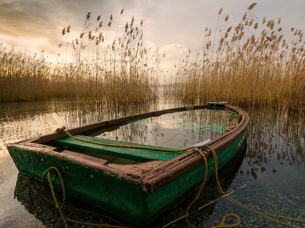 Обои озеро, лодка, камыш, lake, boat, reed разрешение 1920x1300 Загрузить