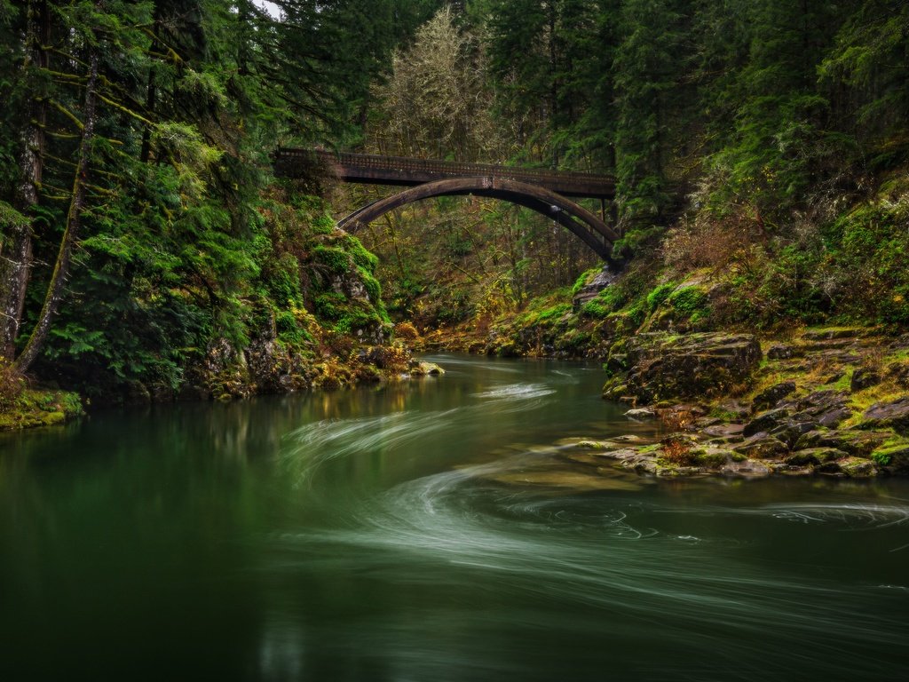 Обои река, лес, мост, штат вашингтон, lewis river, river, forest, bridge, washington разрешение 6144x3787 Загрузить