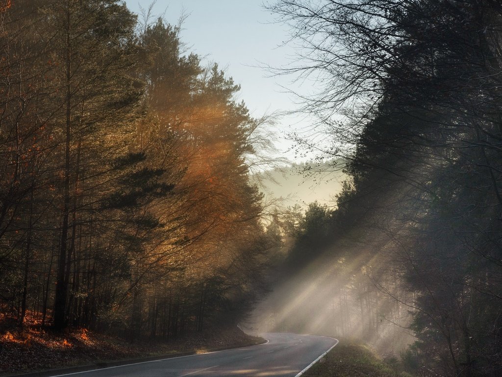 Обои свет, дорога, утро, light, road, morning разрешение 2048x1289 Загрузить