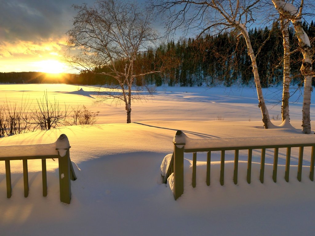 Обои снег, зима, snow, winter разрешение 5472x3648 Загрузить