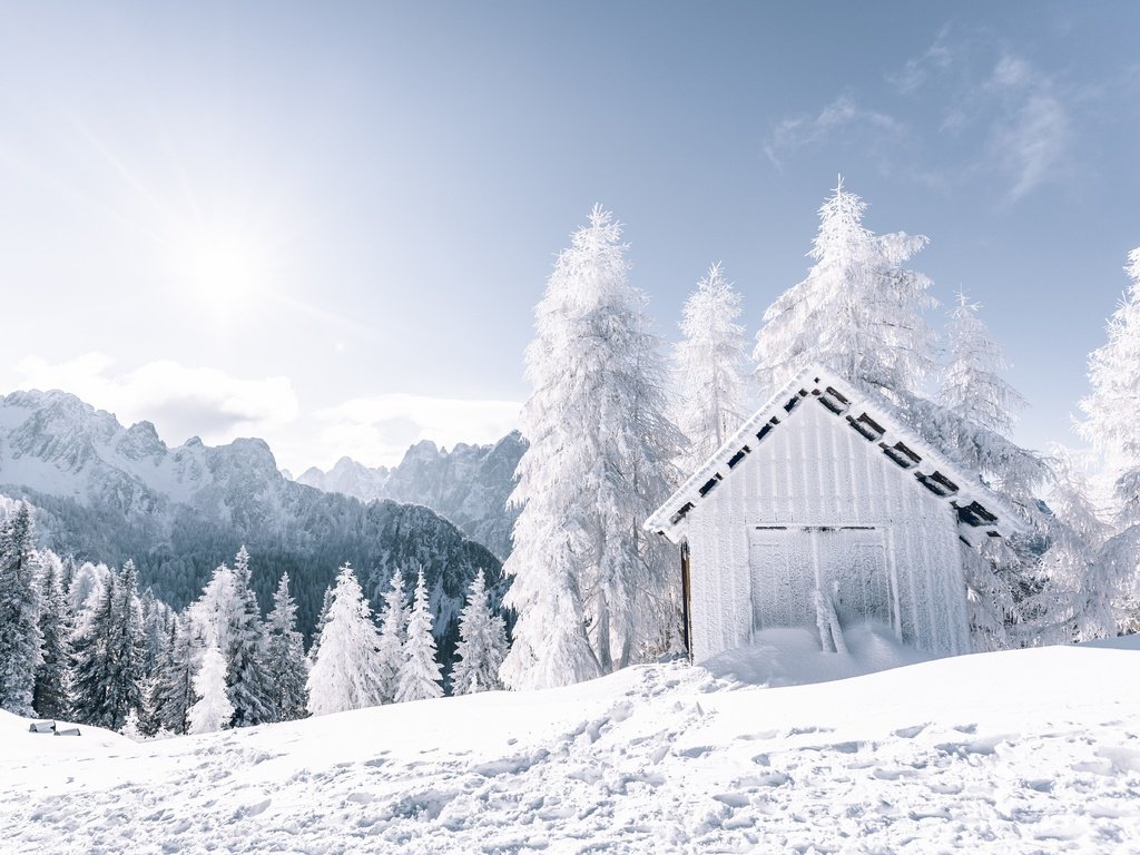 Обои снег, зима, зимний лес, snow, winter, winter forest разрешение 6153x4102 Загрузить