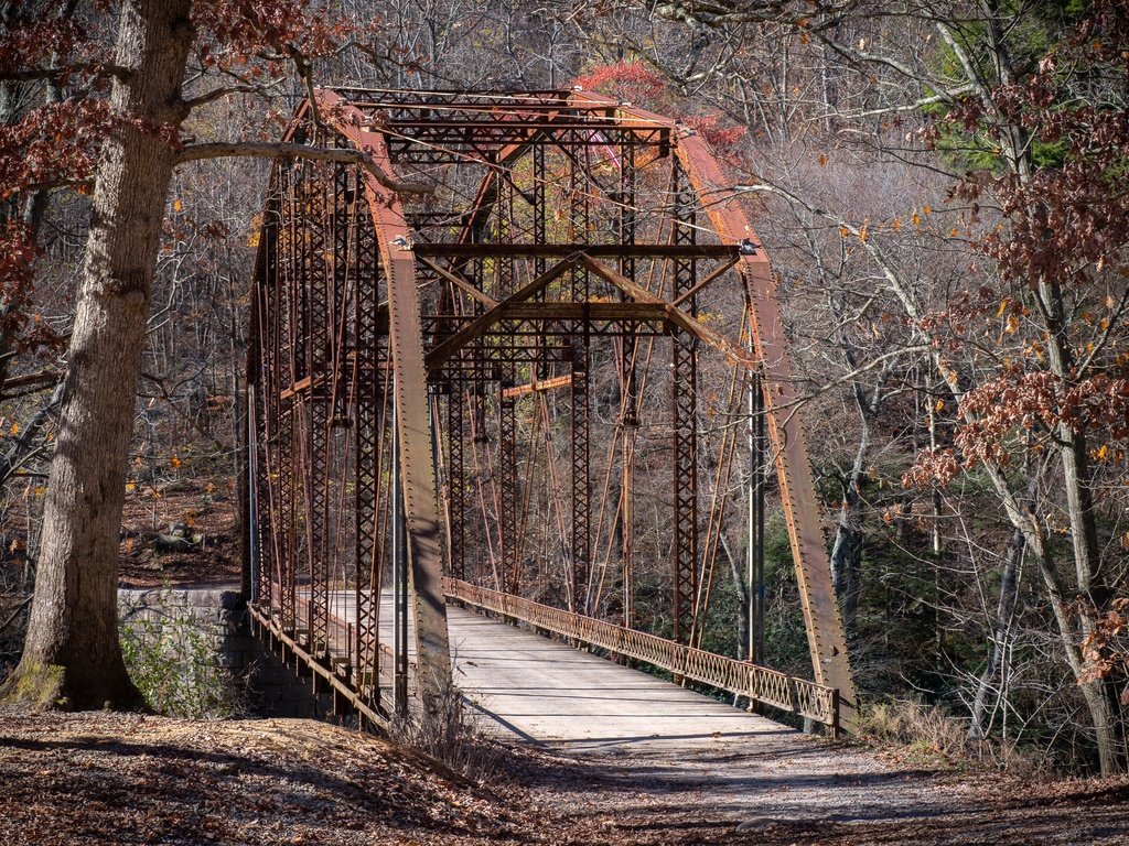 Обои природа, лес, мост, nature, forest, bridge разрешение 2560x1440 Загрузить