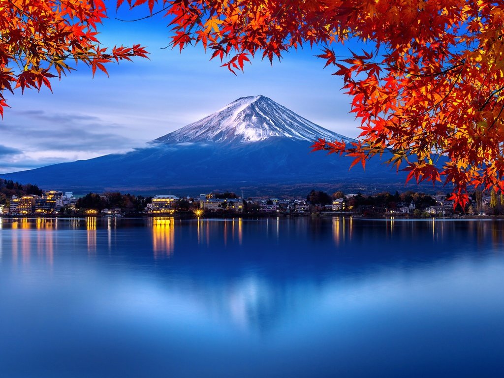 Обои деревья, листья, парк, осень, япония, trees, leaves, park, autumn, japan разрешение 4928x2772 Загрузить