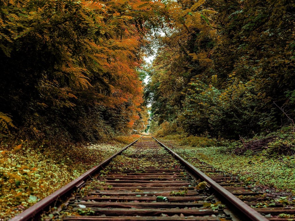 Обои железная дорога, рельсы, осень, railroad, rails, autumn разрешение 3840x2160 Загрузить