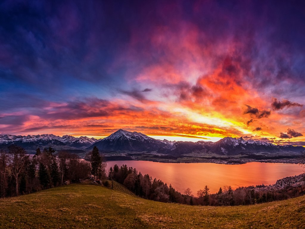 Обои небо, bernese oberland, bernese alps, деревья, бернские альпы, бернский оберланд, озеро, canton of bern, горы, закат, швейцария, тун, тунское озеро, the sky, trees, lake, mountains, sunset, switzerland, thun, lake thun разрешение 2112x1188 Загрузить