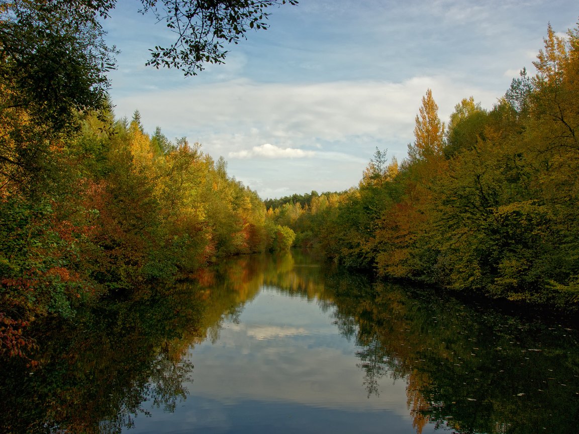 Обои облака, деревья, вода, лес, clouds, trees, water, forest разрешение 1920x1200 Загрузить