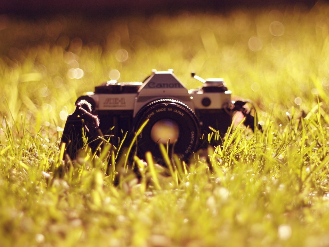 Обои трава, фотоаппарат, объектив, антиквариат, канон, grass, the camera, lens, antiques, canon разрешение 3855x2563 Загрузить