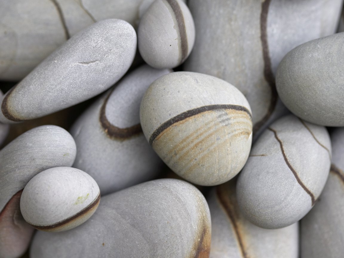 Обои галька, камень, серое, pebbles, stone, grey разрешение 2560x1600 Загрузить
