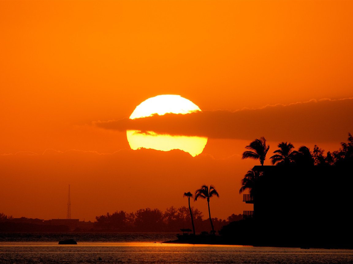 Обои солнце, закат, тучи, море, пальмы, the sun, sunset, clouds, sea, palm trees разрешение 2560x1600 Загрузить