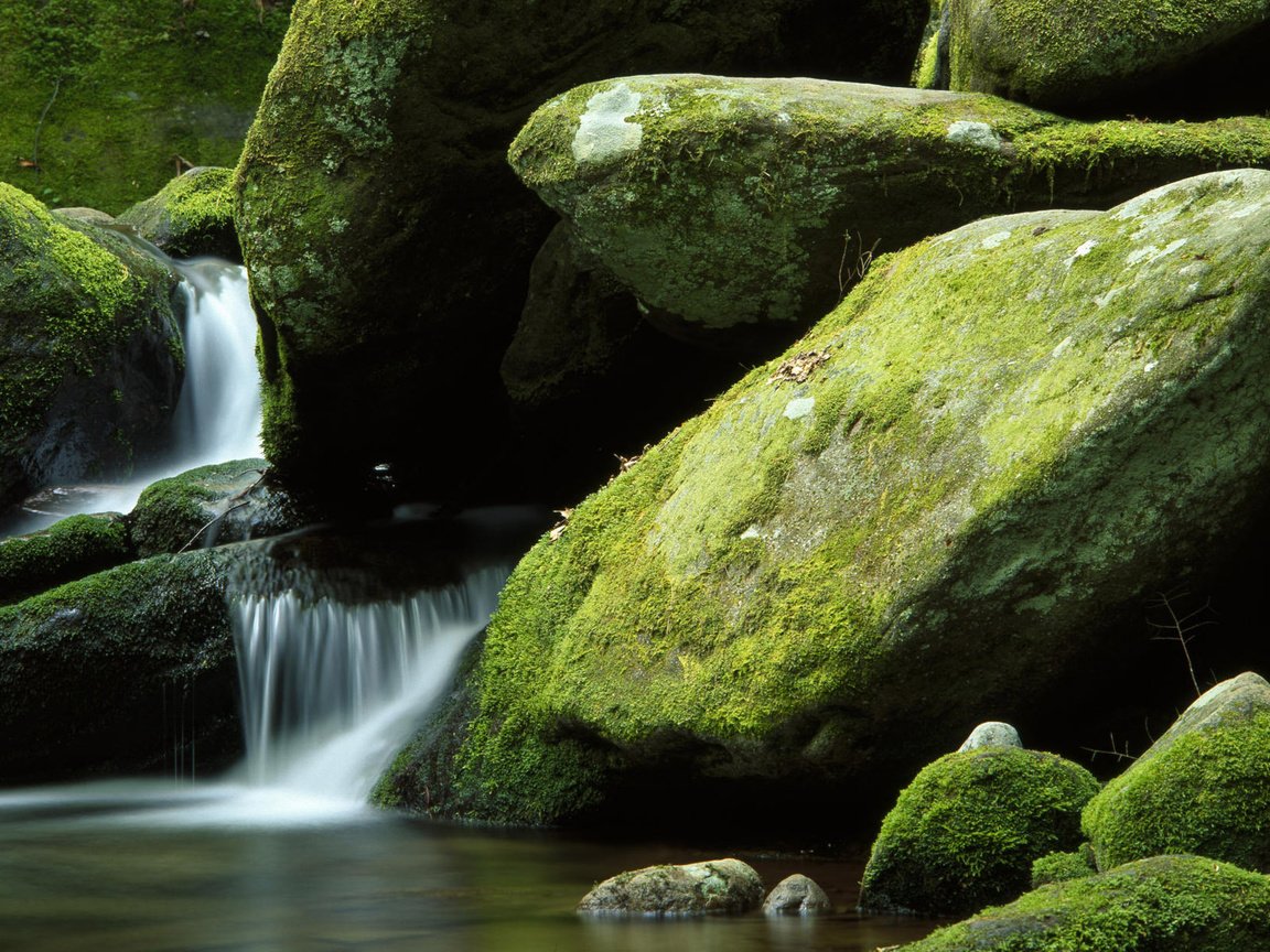 Обои природа, камни, водопад, мох, валуны, nature, stones, waterfall, moss, boulders разрешение 1920x1200 Загрузить