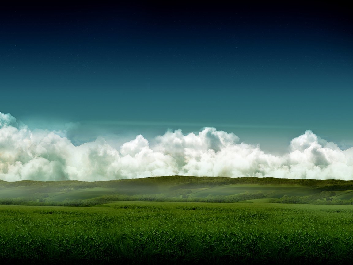 Обои небо, трава, поле, небеса, the sky, grass, field, heaven разрешение 2560x1600 Загрузить