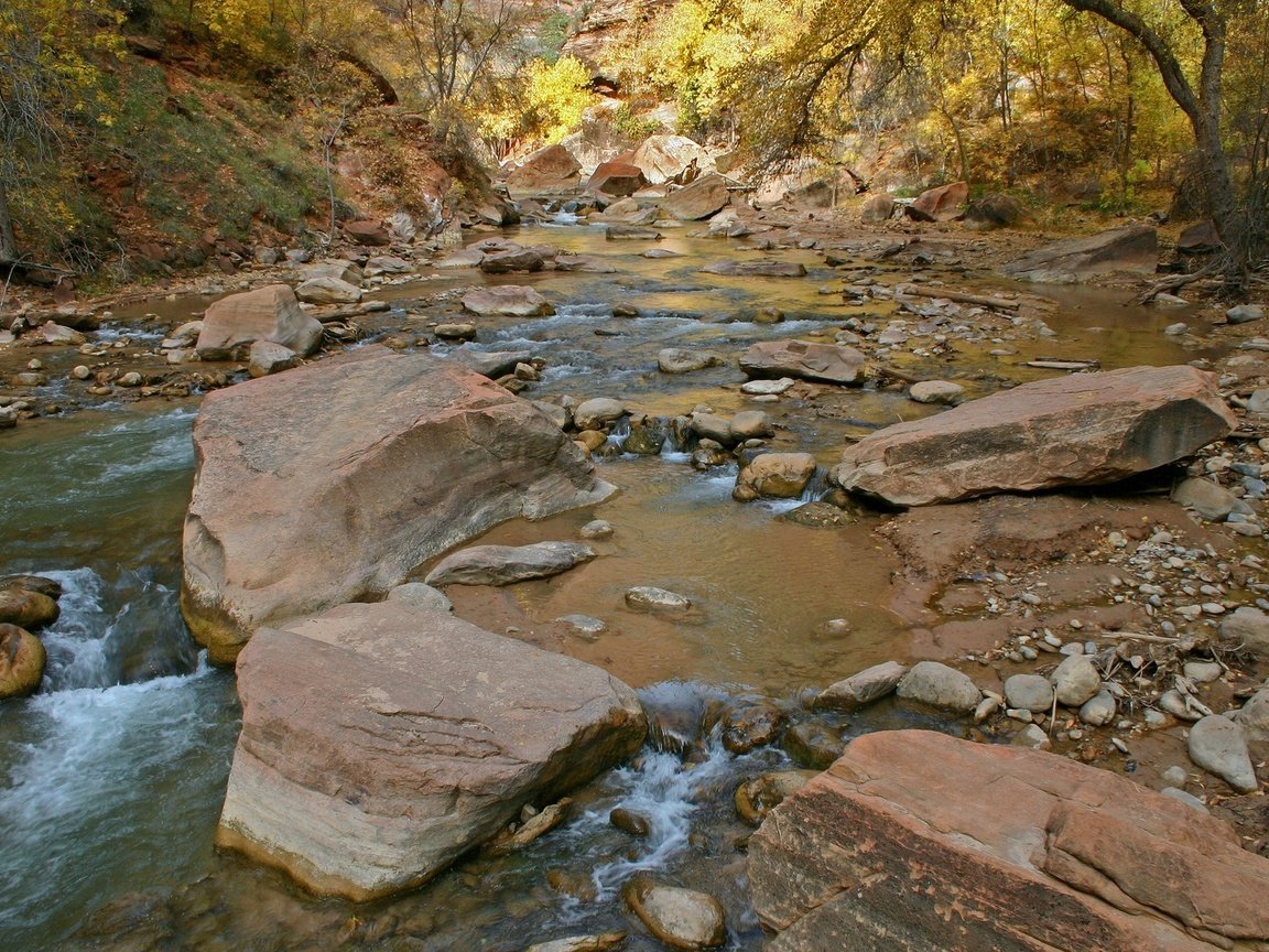 Обои деревья, вода, река, камни, поток, trees, water, river, stones, stream разрешение 1920x1200 Загрузить