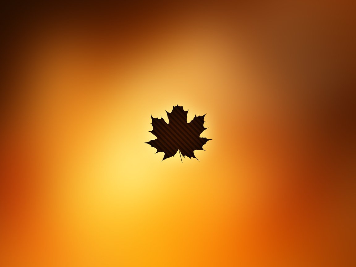 Обои осень, лист, осен, autumn, sheet разрешение 2560x1600 Загрузить