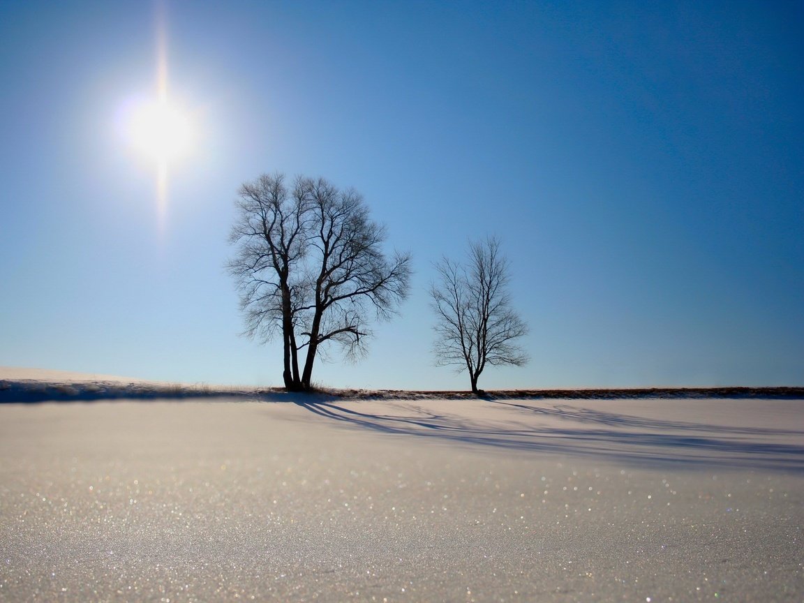 Обои деревья, солнце, песок, trees, the sun, sand разрешение 1920x1440 Загрузить