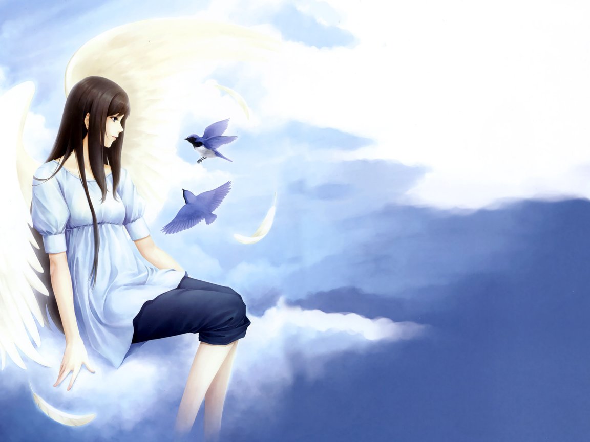 Обои облака, девушка, птицы, нежность, kara no shoujo, clouds, girl, birds, tenderness разрешение 2560x1600 Загрузить