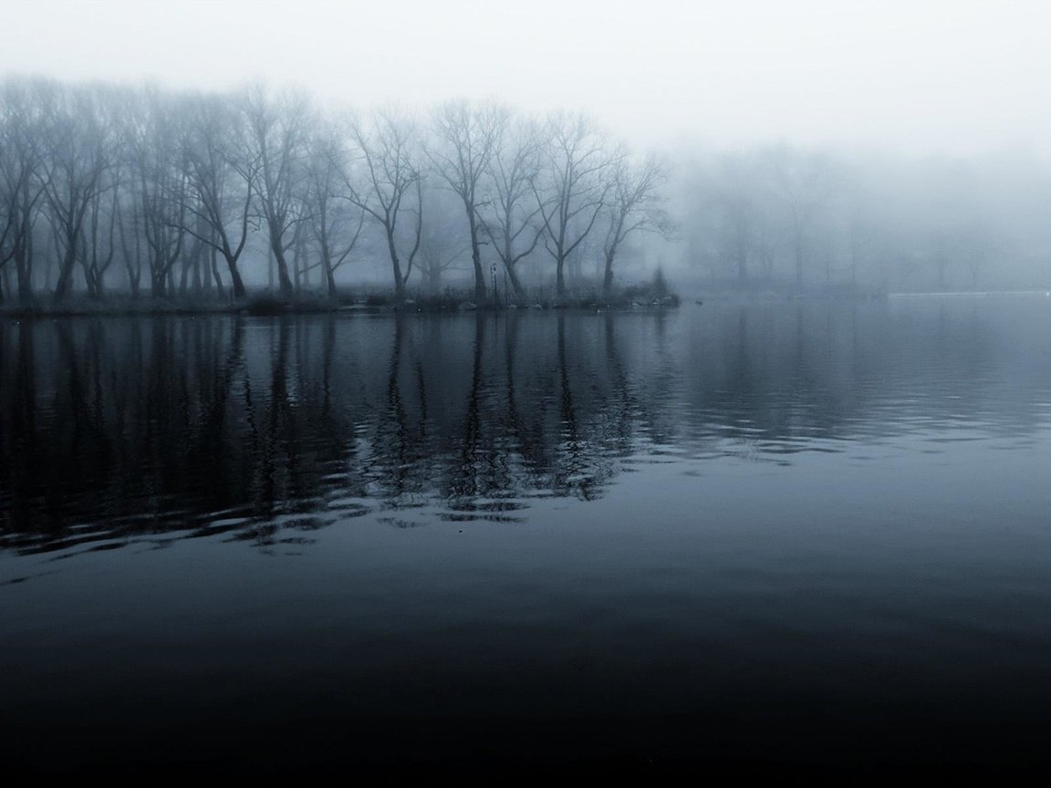 Обои река, берег, лес, утро, туман, чёрно-белое, прохлада, river, shore, forest, morning, fog, black and white, cool разрешение 1920x1200 Загрузить