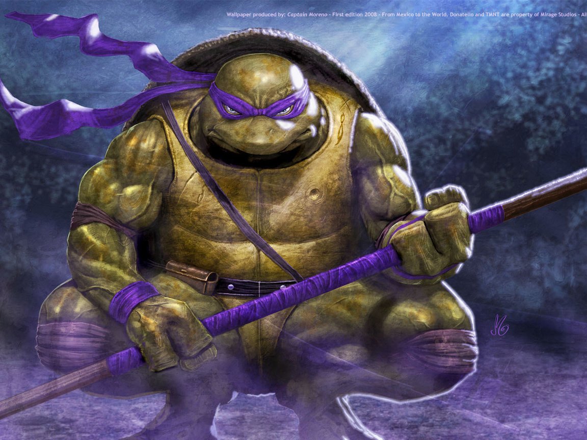 Обои ниндзя, черепашка, cg, донателло, ninja, bug, donatello разрешение 1920x1080 Загрузить