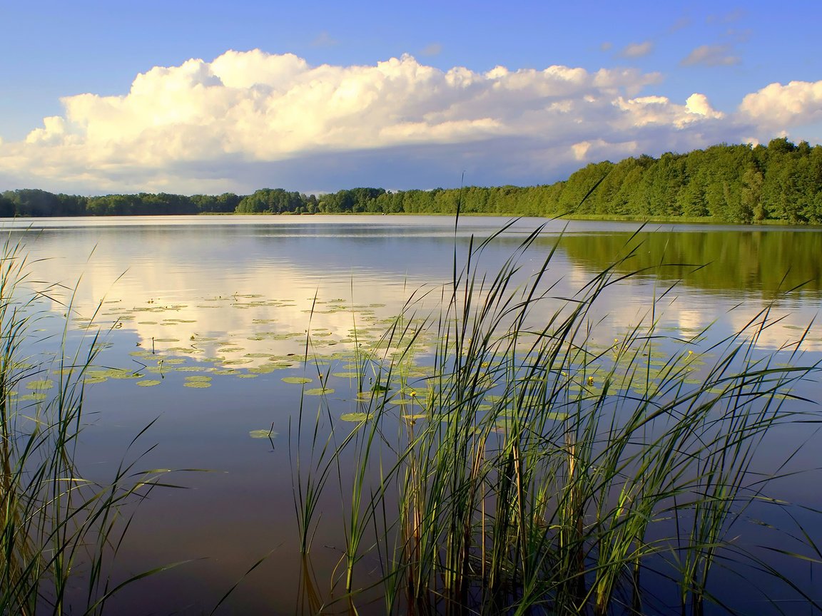 Обои небо, река, природа, лес, пейзаж, the sky, river, nature, forest, landscape разрешение 1920x1200 Загрузить