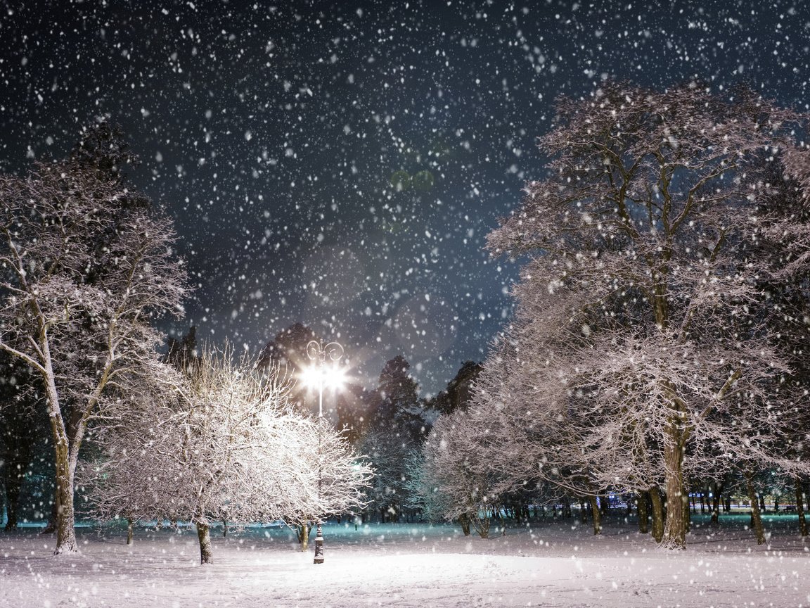 Обои ночь, деревья, снег, зима, парк, фонарь, night, trees, snow, winter, park, lantern разрешение 3984x2516 Загрузить