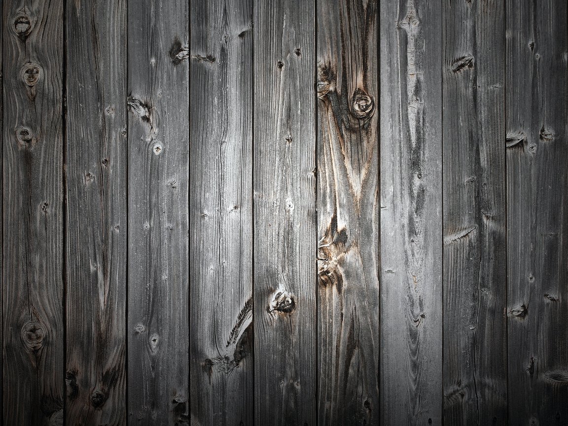 Обои дерево, текстура, дверь, доски, сарай, tree, texture, the door, board, the barn разрешение 2560x1600 Загрузить