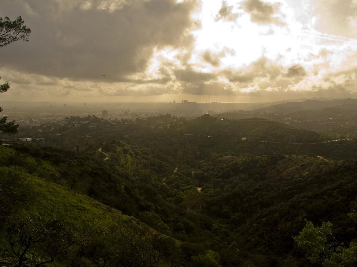 Обои облака, зелень, griffith park, лос анджелес, clouds, greens, los angeles разрешение 1920x1200 Загрузить