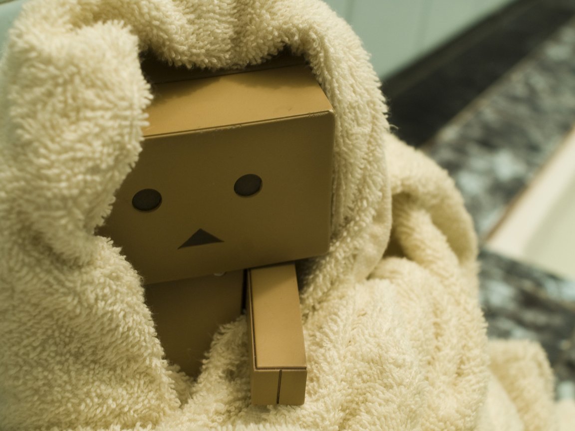 Обои коробка, голова, картон, данбо, box, head, cardboard, danbo разрешение 2560x1600 Загрузить