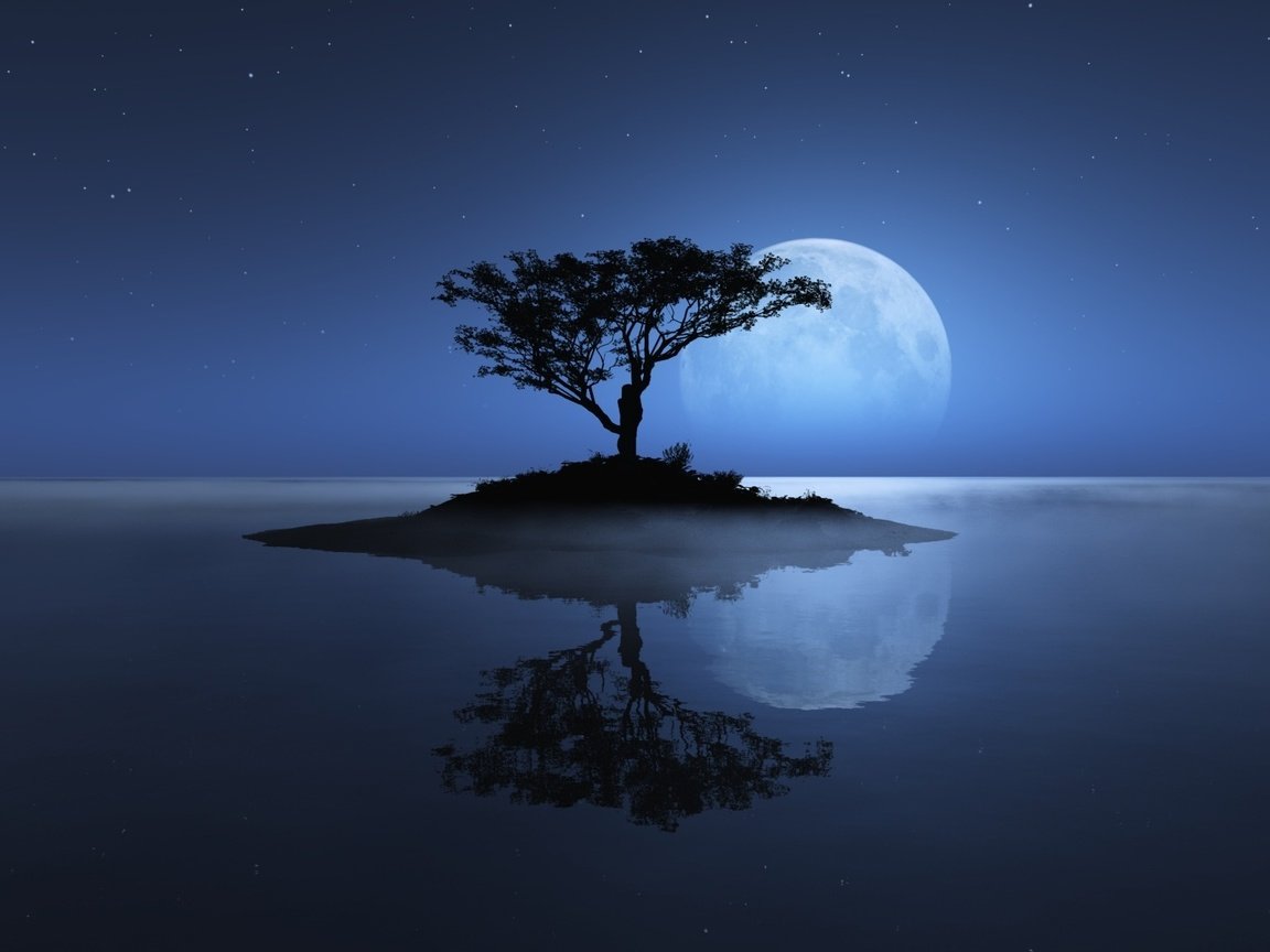 Обои небо, дерево, море, луна, остров, the sky, tree, sea, the moon, island разрешение 1920x1200 Загрузить