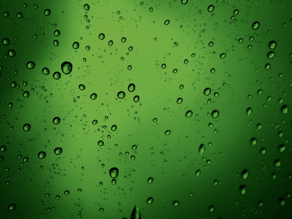 Обои обои, текстура, зелёный, макро, капли, пузыри, бульки, green texture, water drops style, wallpaper, texture, green, macro, drops, bubbles, bulka разрешение 2560x1600 Загрузить