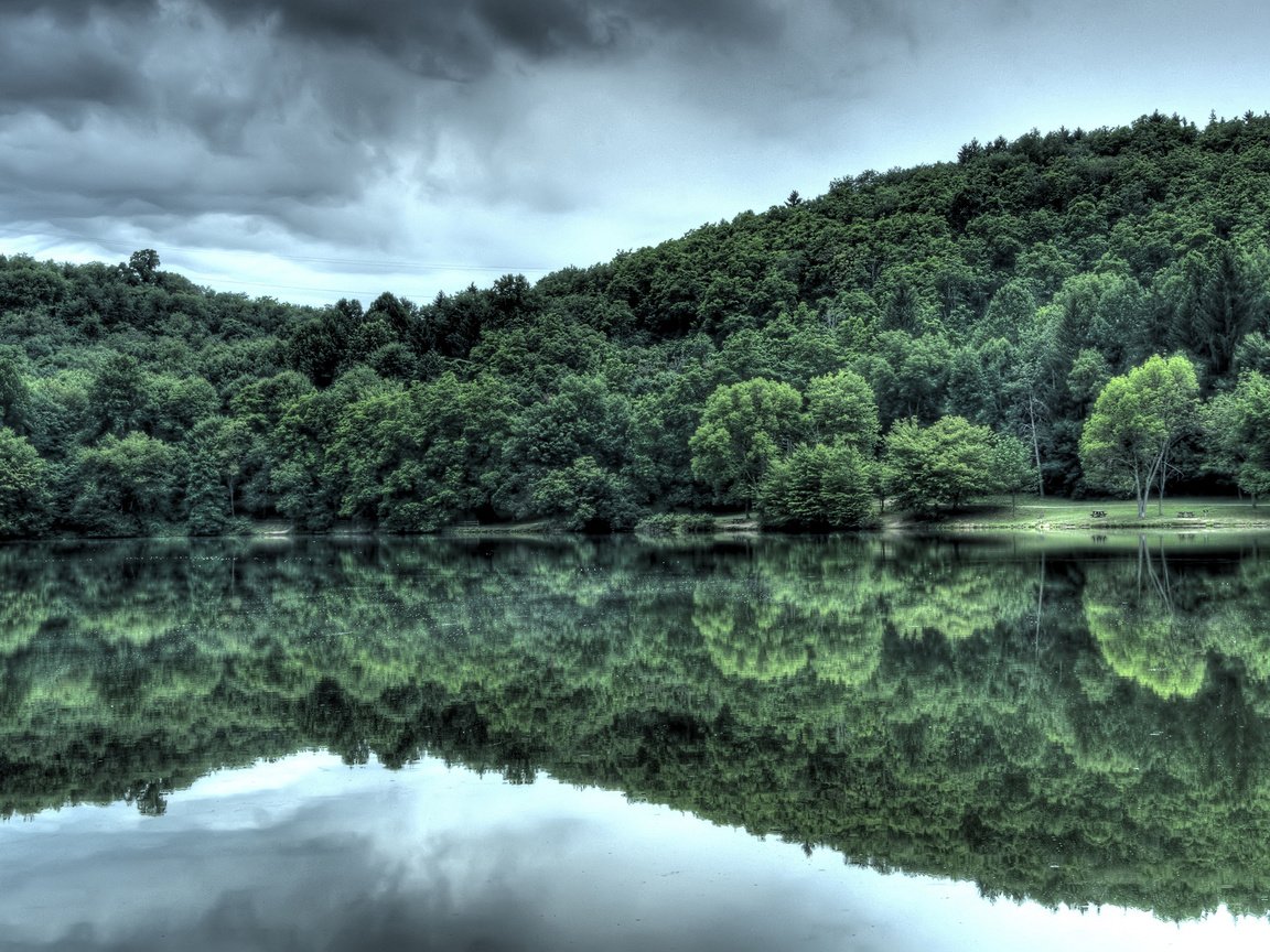 Обои вода, лес, отражение, water, forest, reflection разрешение 2560x1600 Загрузить