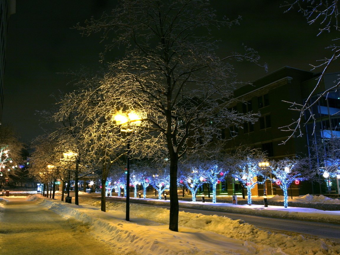 Обои деревья, фонари, огни, снег, зима, город, trees, lights, snow, winter, the city разрешение 1920x1200 Загрузить