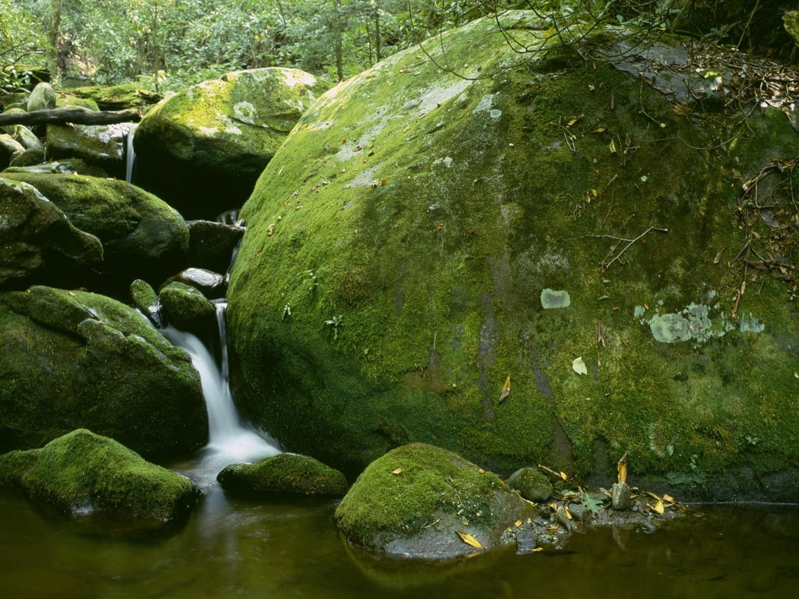 Обои камни, водопад, мох, stones, waterfall, moss разрешение 2560x1600 Загрузить