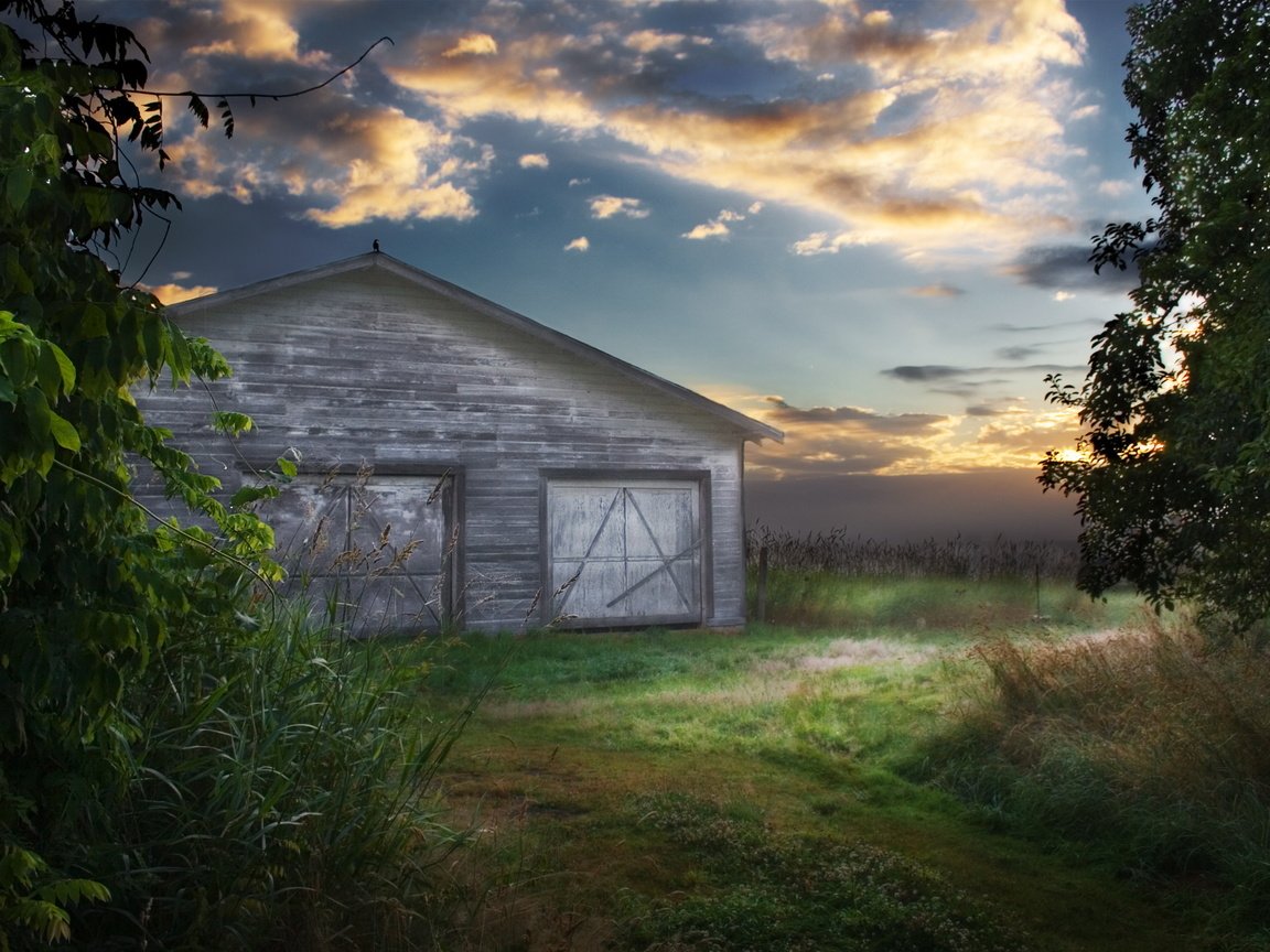 Обои небо, поле, амбар, ворона, the sky, field, the barn, crow разрешение 2560x1600 Загрузить