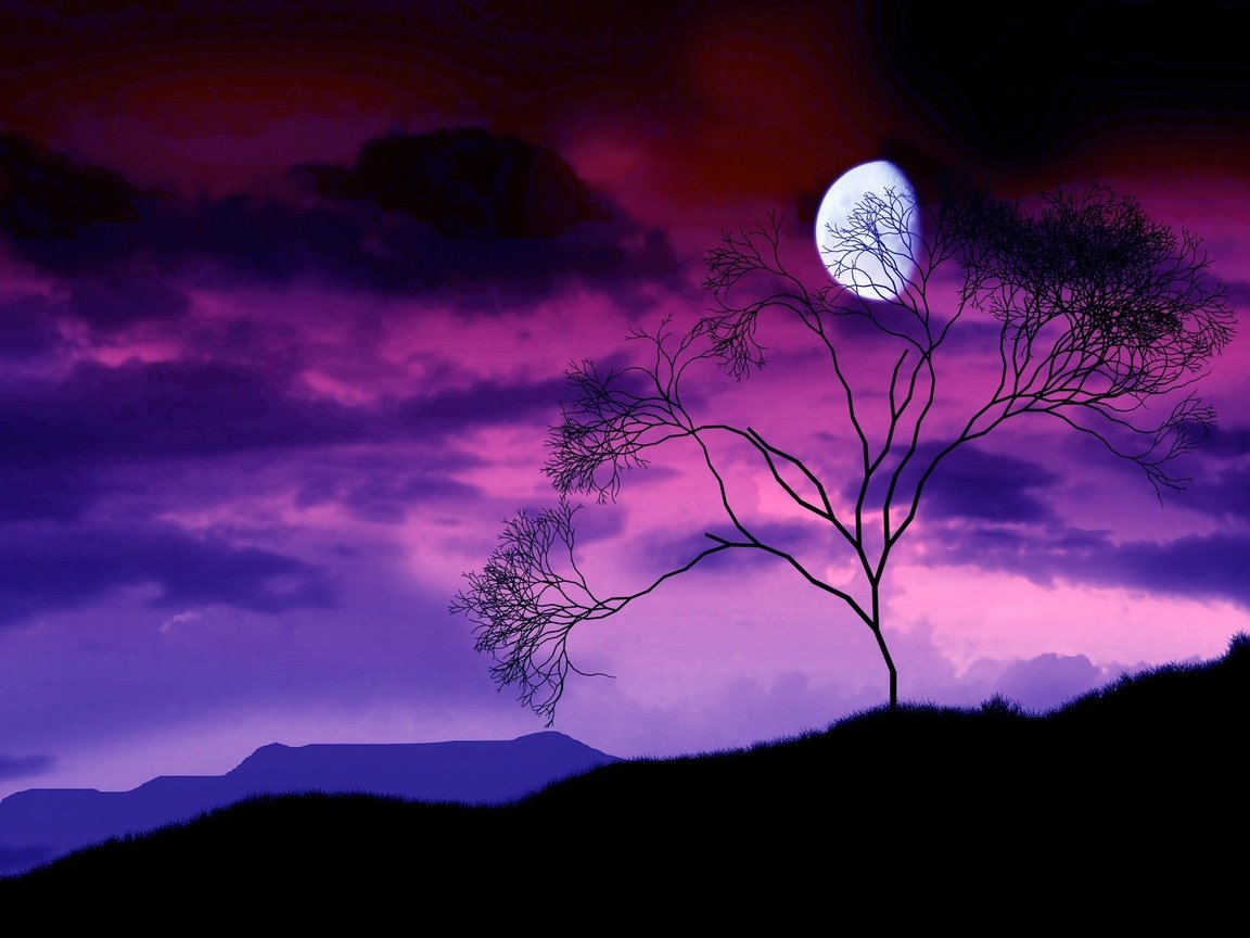 Обои ночь, дерево, ветки, луна, night, tree, branches, the moon разрешение 2560x1600 Загрузить