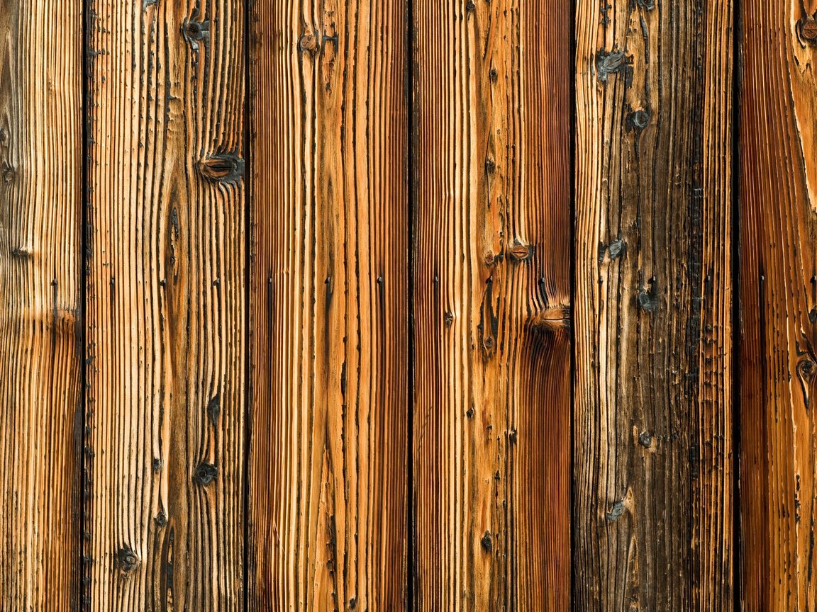 Обои дерево, доски, фактура, tree, board, texture разрешение 2560x1600 Загрузить