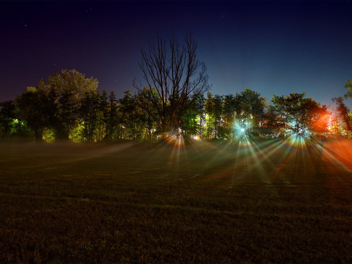 Обои свет, леса, ночь, деревья, огни, фото, лучи, поле, пейзажи, light, forest, night, trees, lights, photo, rays, field, landscapes разрешение 1920x1200 Загрузить