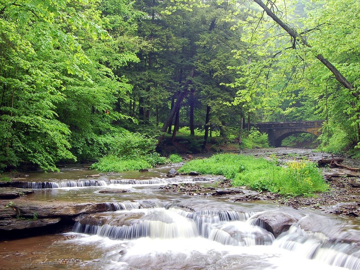 Обои река, лес, пороги, river, forest, thresholds разрешение 1920x1200 Загрузить