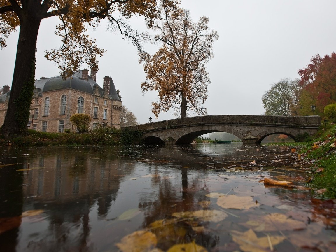 Обои вода, листья, мост, осень, дом, дождь, пруд, water, leaves, bridge, autumn, house, rain, pond разрешение 1920x1200 Загрузить