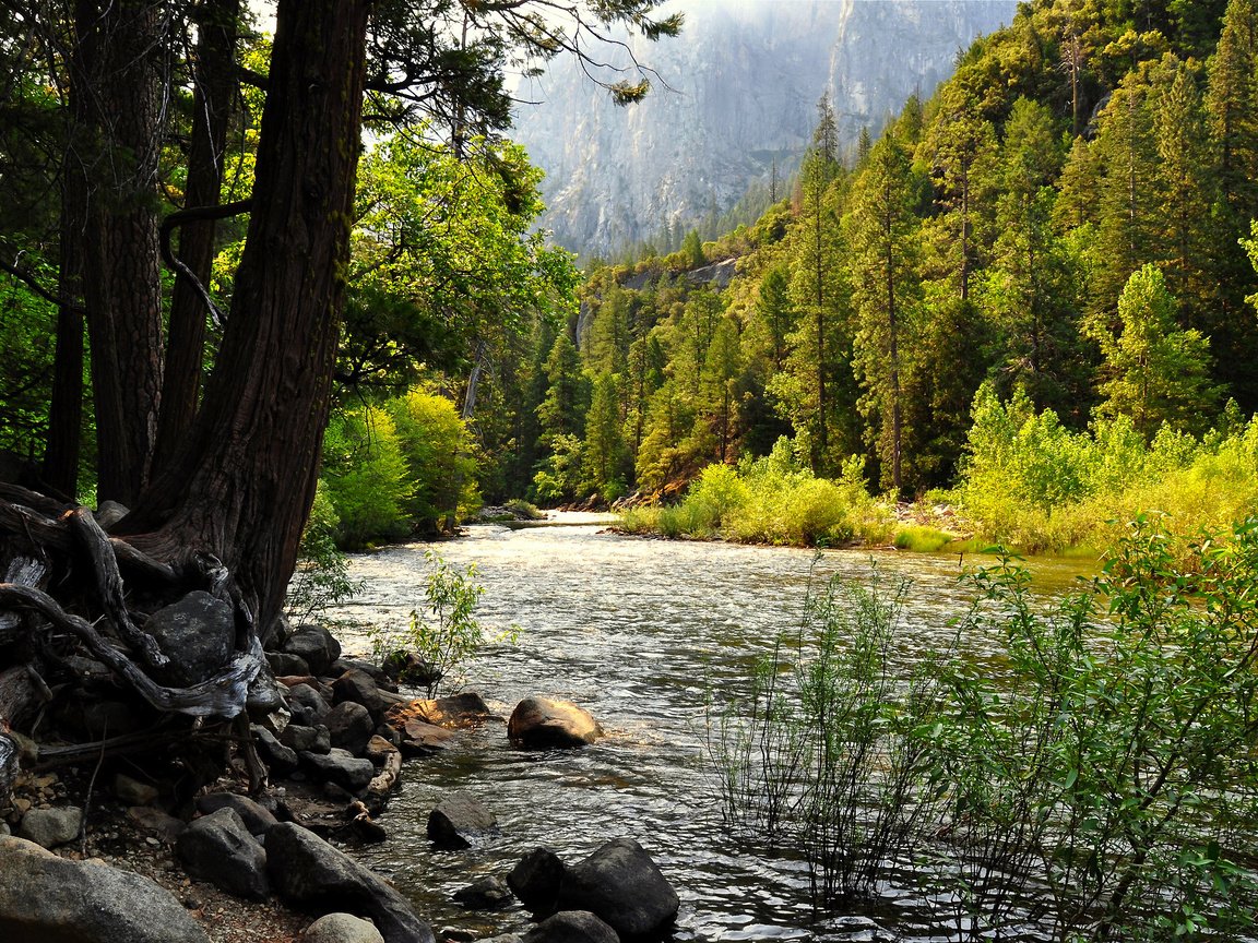 Обои озеро, лес, сша, калифорния, йосемити, lake, forest, usa, ca, yosemite разрешение 2560x1600 Загрузить