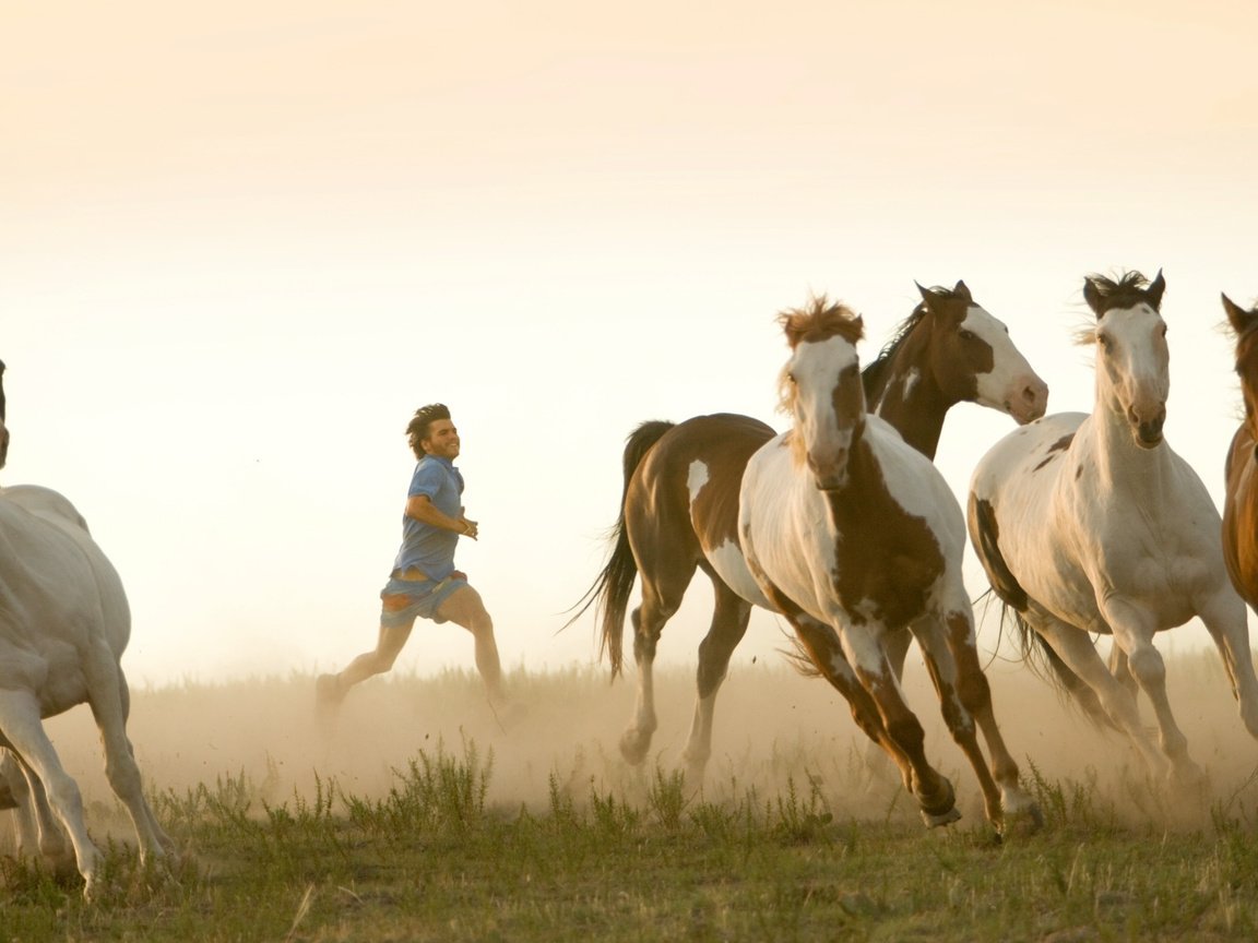 Обои лошади, into the wild, в диких условиях, эмиль хирш, horse, in the wild, emile hirsch разрешение 1920x1200 Загрузить
