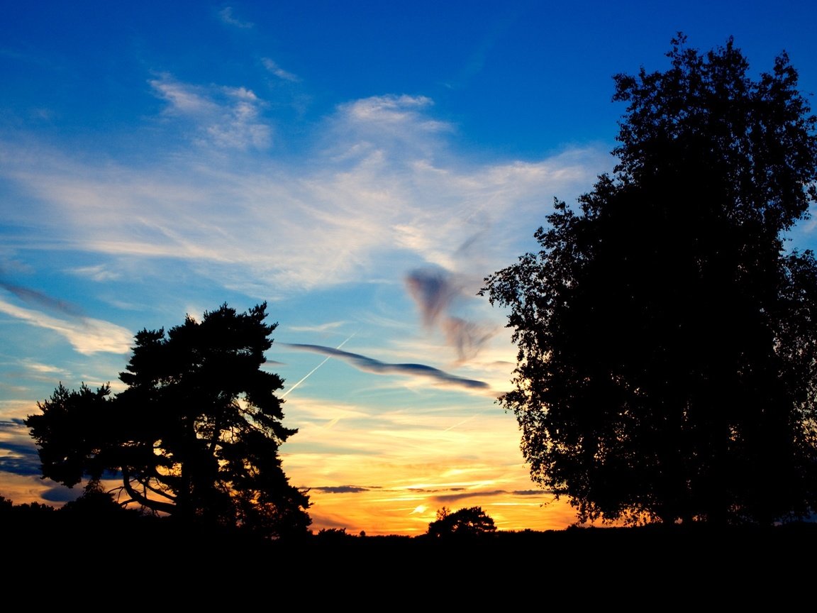 Обои небо, деревья, закат, the sky, trees, sunset разрешение 1920x1080 Загрузить