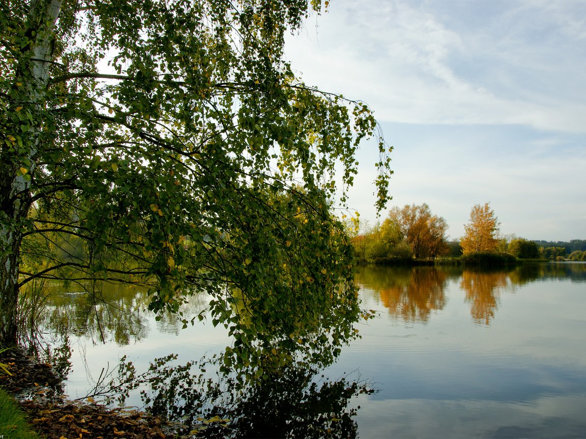 Обои озеро, отражение, осень, береза, lake, reflection, autumn, birch разрешение 1920x1200 Загрузить