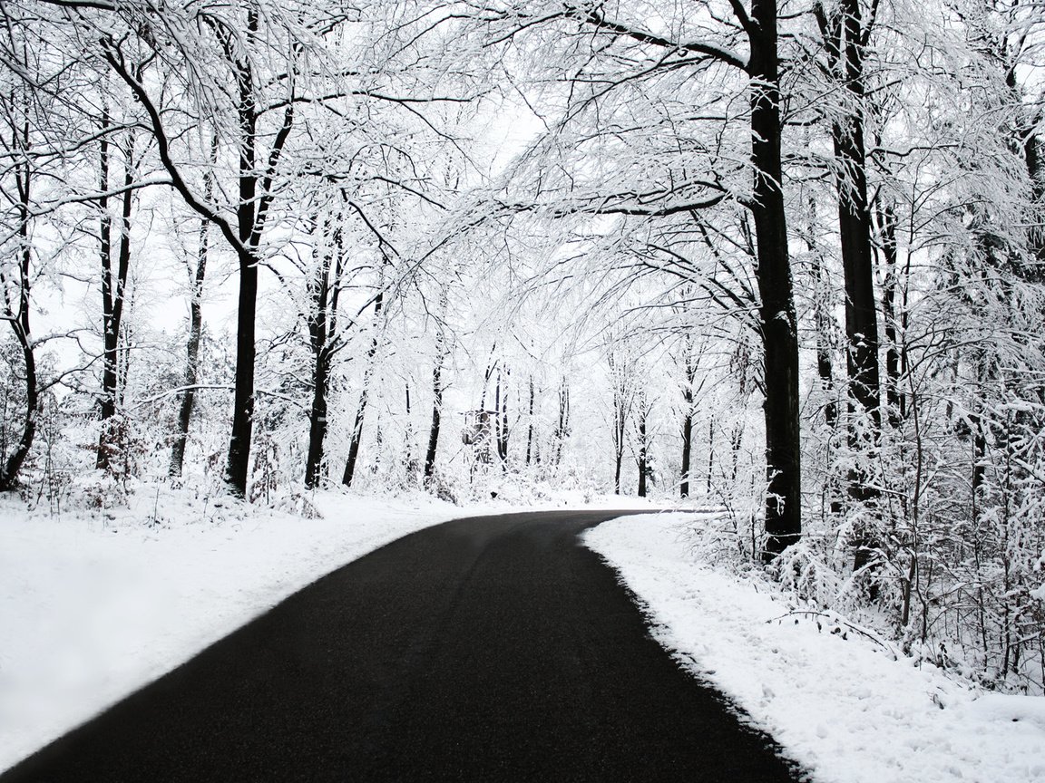 Обои дорога, деревья, снег, зима, иней, road, trees, snow, winter, frost разрешение 1920x1200 Загрузить