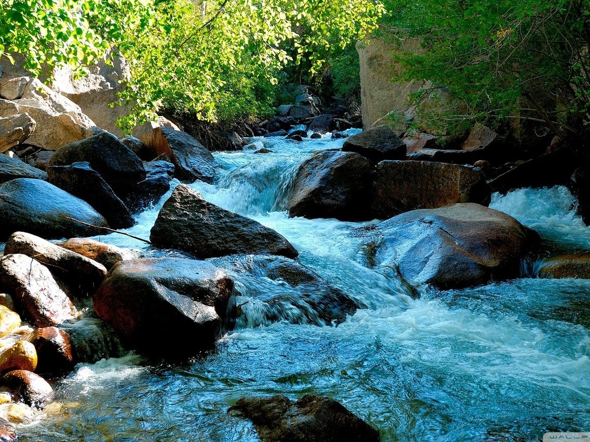 Обои вода, природа, камни, зелень, растения, water, nature, stones, greens, plants разрешение 1920x1080 Загрузить