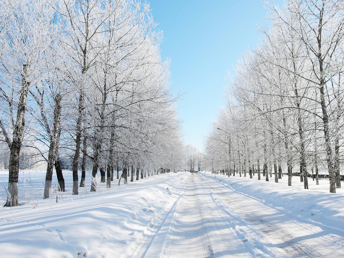 Обои дорога, деревья, снег, лес, зима, даль, road, trees, snow, forest, winter, dal разрешение 1920x1080 Загрузить