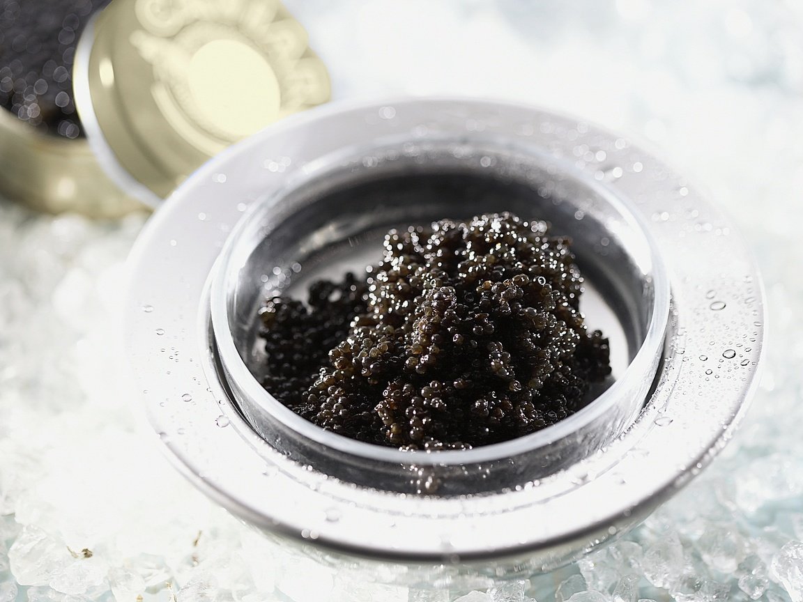 Обои черная, икра, black, caviar разрешение 1920x1200 Загрузить
