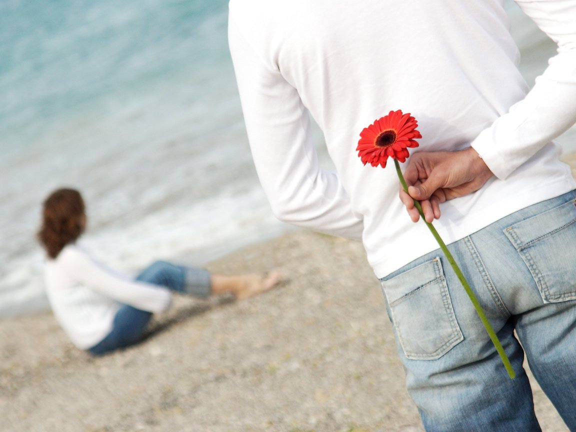 Обои цветок, пляж, любовь, романтика, пара, flower, beach, love, romance, pair разрешение 3276x2336 Загрузить